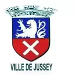 Music en brousse partenaire ville de jussey min (1)