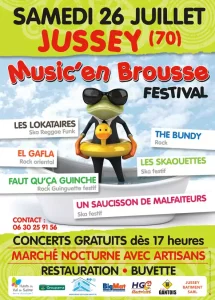 music en brousse 2014